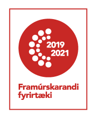 Outstanding company 2019–2021
